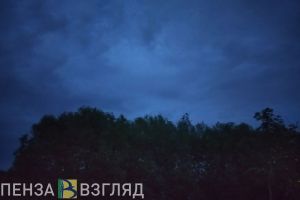 Найден мертвым пропавший 37-летний житель Заречного