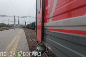 Незаконно находящийся в РФ иностранец пытался подкупить пензенского полицейского