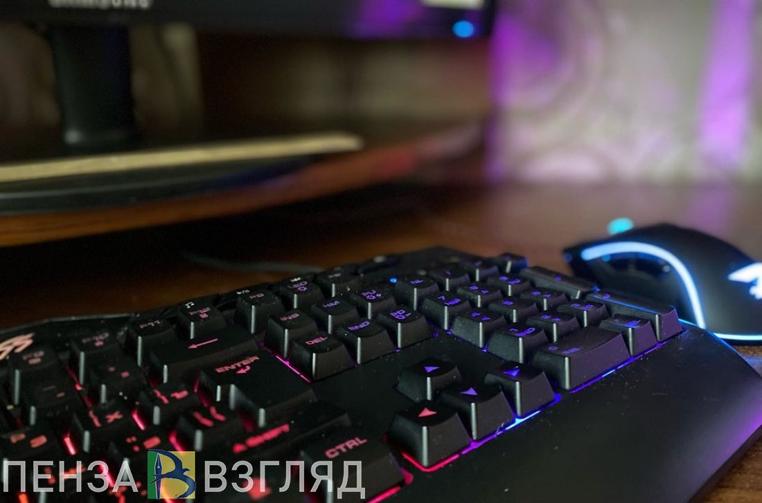 Пензенцы смогут заполнить заявление на Госуслугах в ходе диалога с роботом