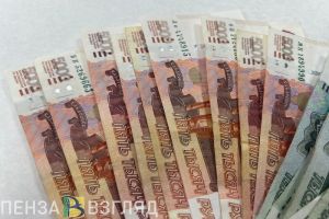 Жителя Каменского района оштрафовали за сброс бытовых отходов на дорогу