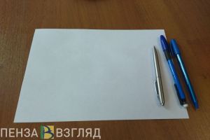 В Пензенской области социальный координатор оказала помощь семье погибшего бойца