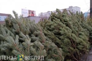Дата открытия елочных базаров, смертельная авария и прогноз погоды — новости Пензы и области за 27 октября