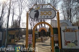 Пензенские депутаты одобрили новые льготы участникам СВО и их семьям