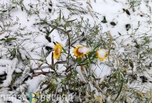 На выходных Пензенская область окажется во власти очередного циклона