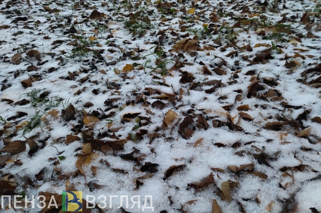 Пензенцы хотят продолжать поездки на дачи в октябре