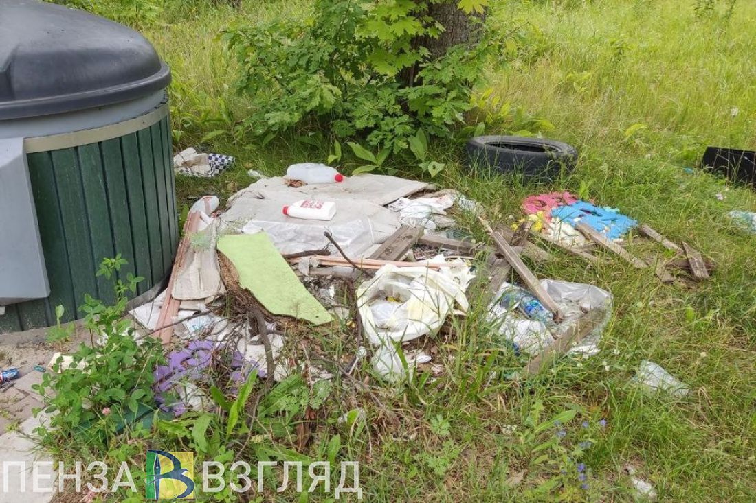 Пензенские депутаты заявили о дискредитации идеи раздельного сбора мусора
