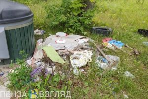Пензенские депутаты заявили о дискредитации идеи раздельного сбора мусора