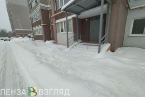 Последствия снегопада в Пензенской области ликвидируют почти 100 спецмашин