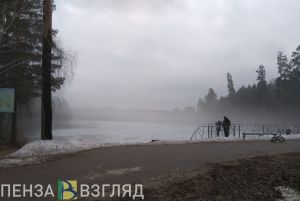 Пензенская Госавтоинспекция обратилась к водителям в связи с туманом