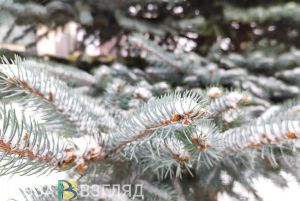 В Пензенской области 29 октября ожидается желтый уровень погодной опасности