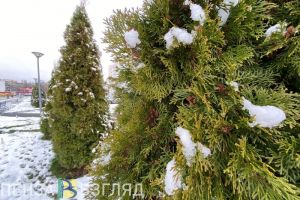 В Пензенской области 30 октября ожидается снег с дождем