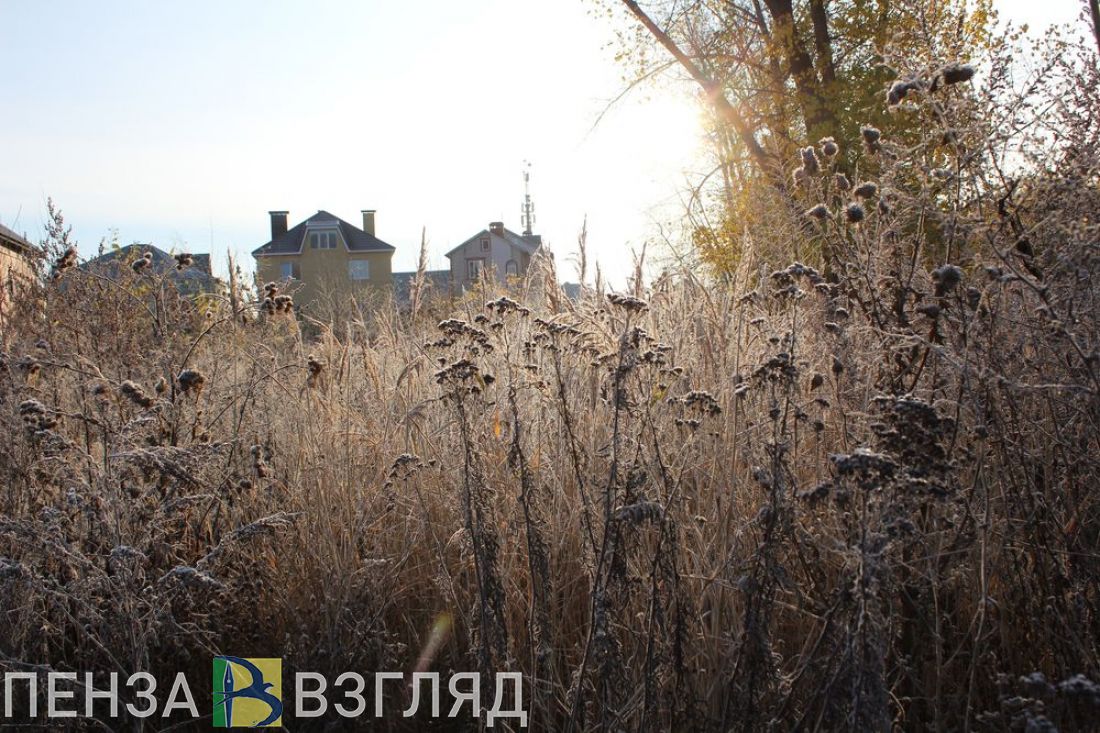 Пензенцы узнали прогноз погоды на первые ноябрьские дни