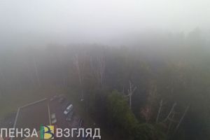 В Пензенской области 1 ноября ожидается туман и +15 градусов