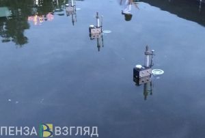 В сердобском парке провели пробный запуск фонтана