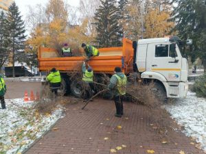 В пензенском сквере спилили аварийные ели