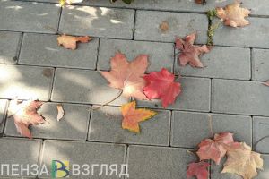 Жителей Пензенской области предупредили о сильном ветре 2 ноября