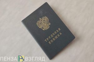 Пензенским работодателям вернут затраты на рабочие места для участников СВО