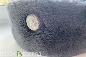 В Пензенской области детям мобилизованных утвердили новую меру поддержки