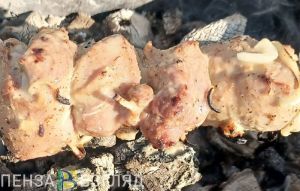В Пензе выявлены небезопасные куры-гриль, шаурма и шашлык