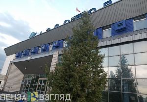 За десять месяцев из Пензы по воздуху перевезли 300 тысяч пассажиров