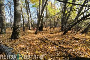 В Пензенской области отменен режим повышенной готовности