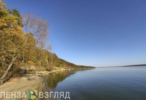 В этом году в Пензенской области выпустили более 65 тысяч особей толстолобика