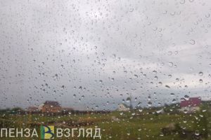8 ноября в Пензе прогнозируют дождливую погоду