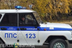 В Пензенской области украденную лошадь пустили на мясо