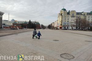 Предложено создать министерство, отвечающее за счастье пензенцев