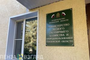 В Пензе сообщили об окладах сотрудников организаций, подведомственных Минлесхозу