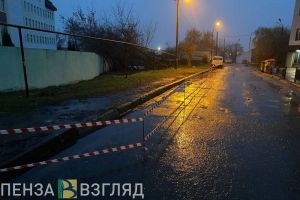 Пензенец заметил рост числа металлических прутьев на улице Чкалова