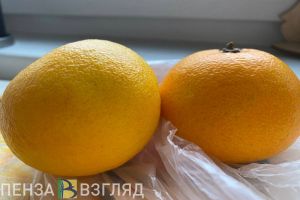 Пензенцам рассказали, подорожают ли мандарины к Новому году