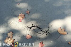 В Пензе рассказали о треснувшем асфальте и пропавших бордюрах