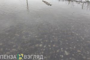 Жители Пензы могут сообщать о потопах в диспетчерскую службу