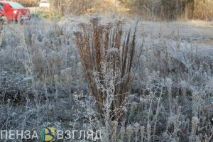Пензенские синоптики спрогнозировали погоду на ближайшие дни