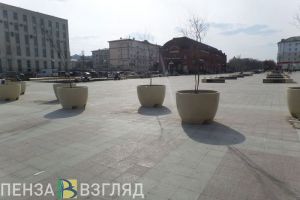Пензенские власти ответили на претензии по благоустройству городского центра