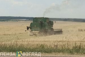 В Пензенской области сбор сахарной свеклы завершен на 92%