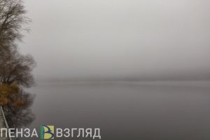 Пензенцы делятся фотографиями тумана