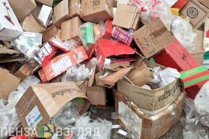 В Пензе готовы потратить более 1,8 миллиона рублей на захоронение отходов