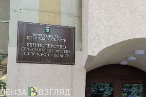 В Пензенской области на 15,7% выросло поголовье свиней в хозяйствах всех категорий