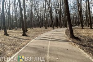 Названы два правила для пензенцев, чтобы избежать диабета