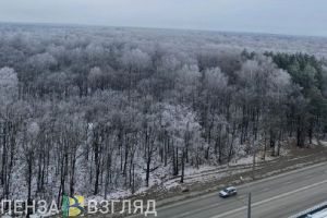 Ночной мороз ожидается в Пензенской области 17 ноября