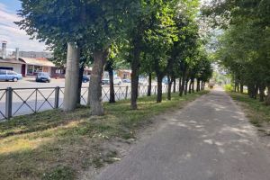 Пензенцы обсуждают демонтаж установленных ограждений на Тернопольской/Бородина