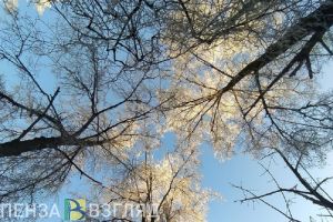 До -9 градусов ночью обещают жителям Пензенской области 18 ноября
