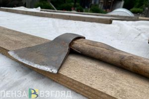Штраф до 3 миллионов рублей грозит жителям Пензенской области за рубку леса
