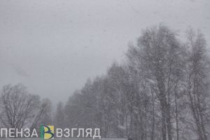 21 ноября в Пензенской области ожидаются ночной мороз и снег