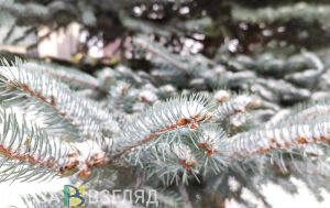 Синоптики пообещали пензенцам погодные перепады