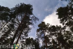 Аэрохимик рассказала пензенцам о качестве воздуха