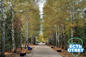 Сердобчанам объяснили, почему фонари в парке горят всю ночь