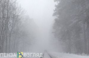 Гришаев рассказал о реализации проекта «БКД» в Пензенской области